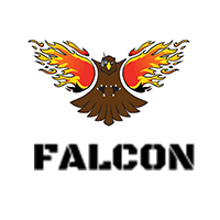 team falcon logo